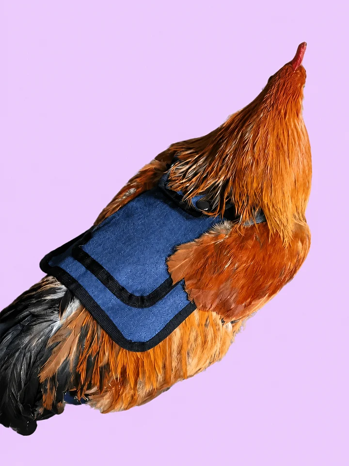 Waterproof Anti-Plucking Chicken Saddles product image (2)