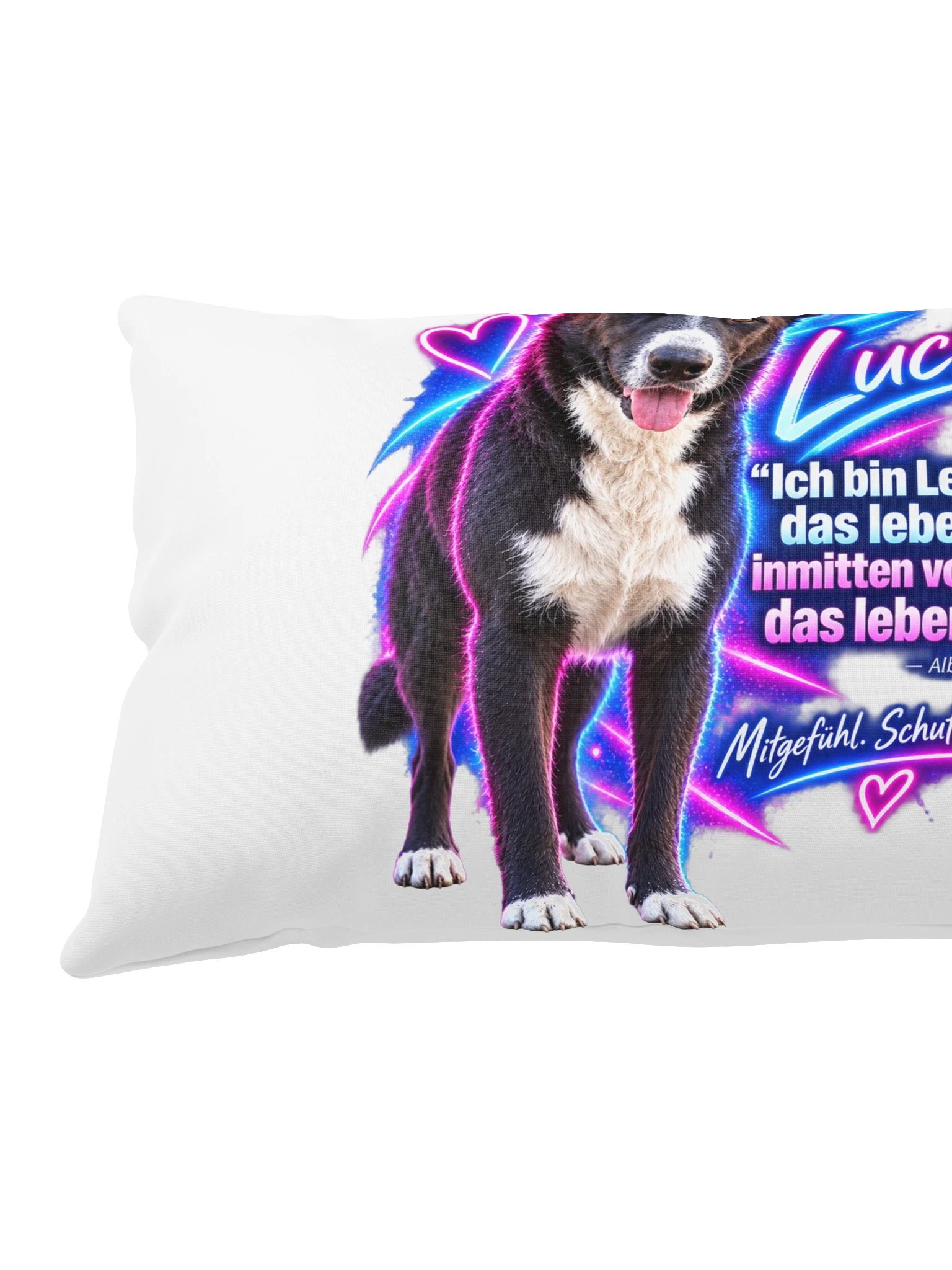 Lucky – Mitgefühl. Schutz. Leben. Kissen product image (13)
