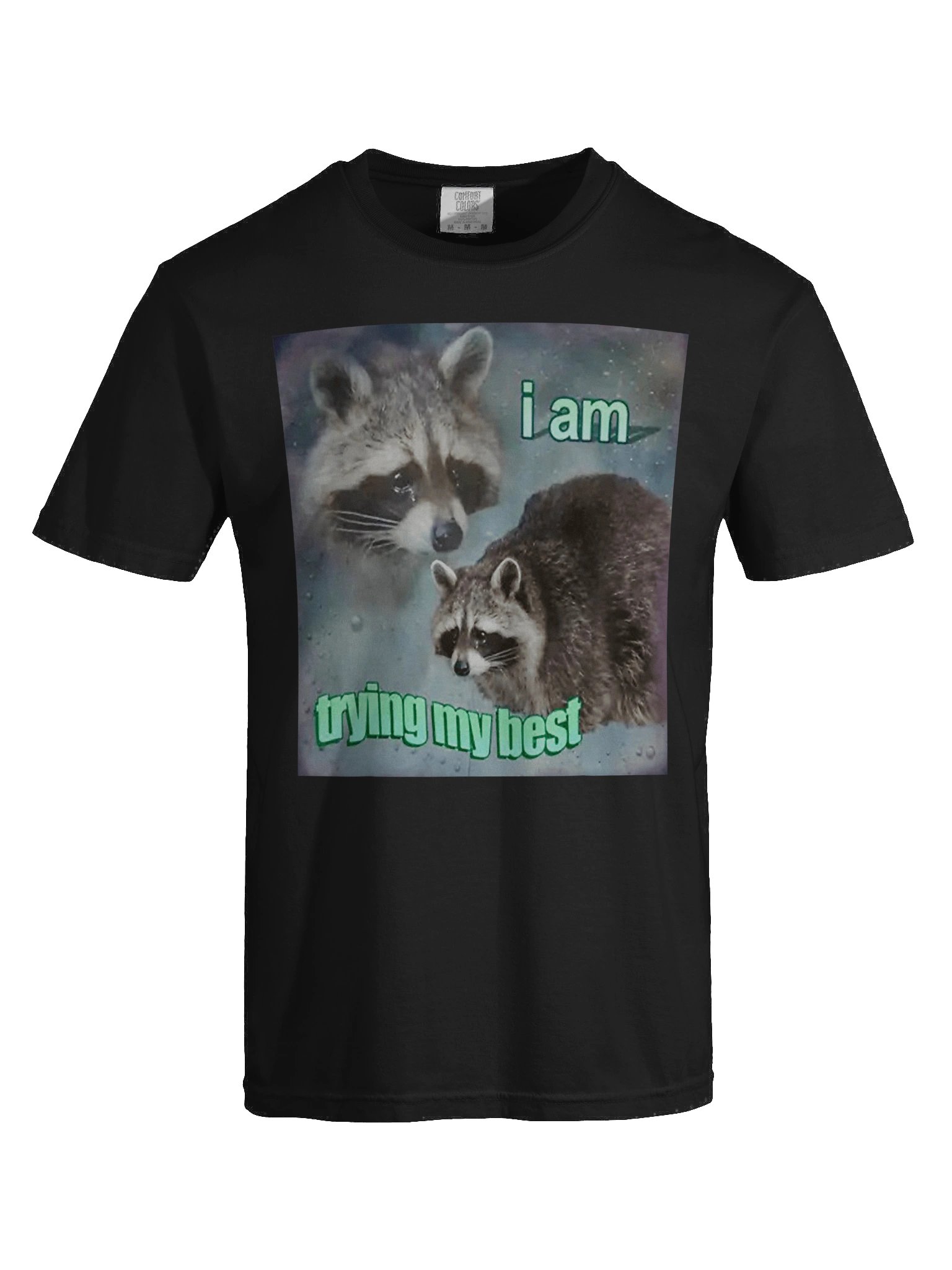 I Am Trying My Best Shirt product image (8)
