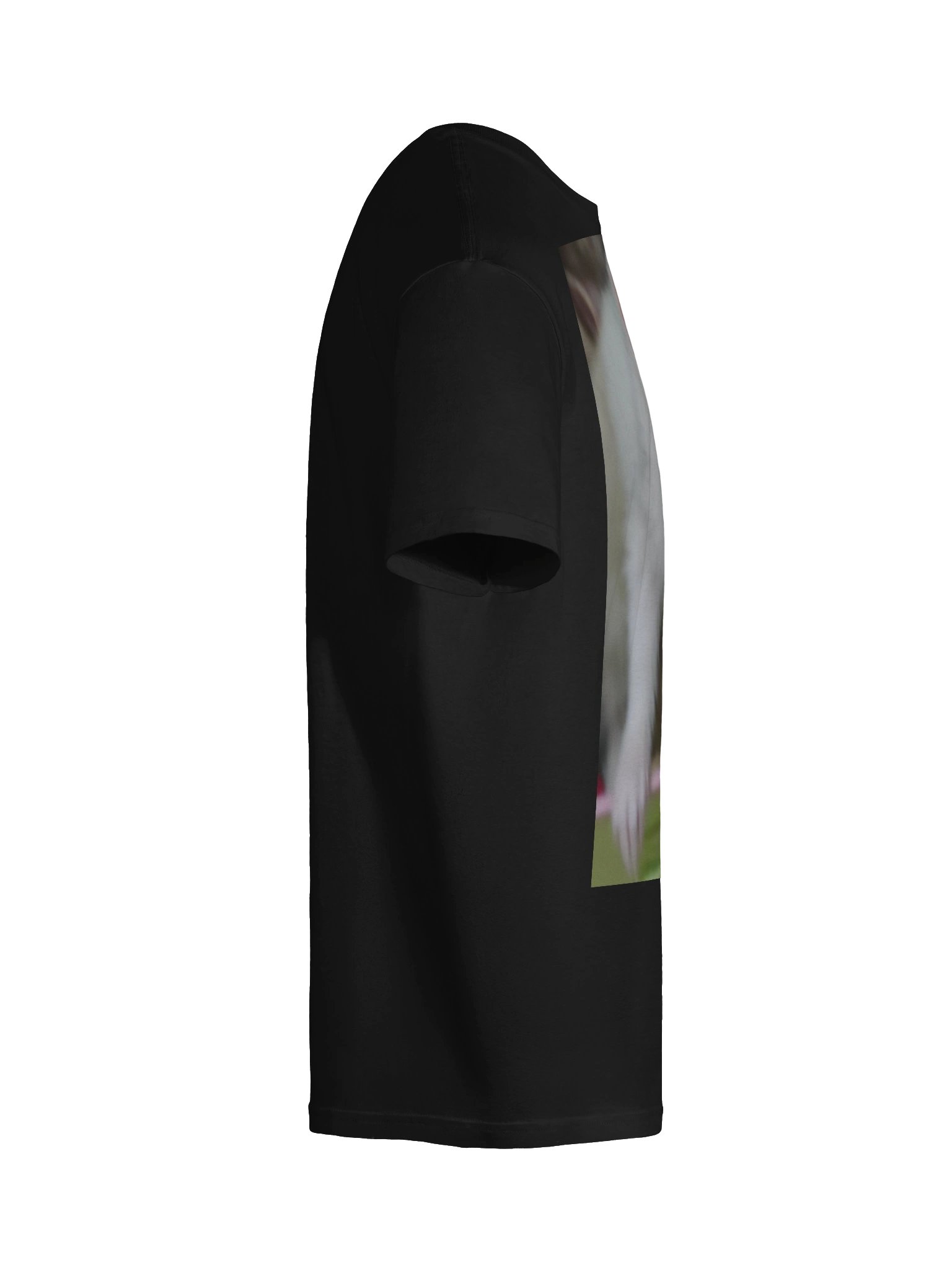Cici product image (149)