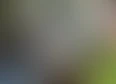 Membri's tag thumbnail