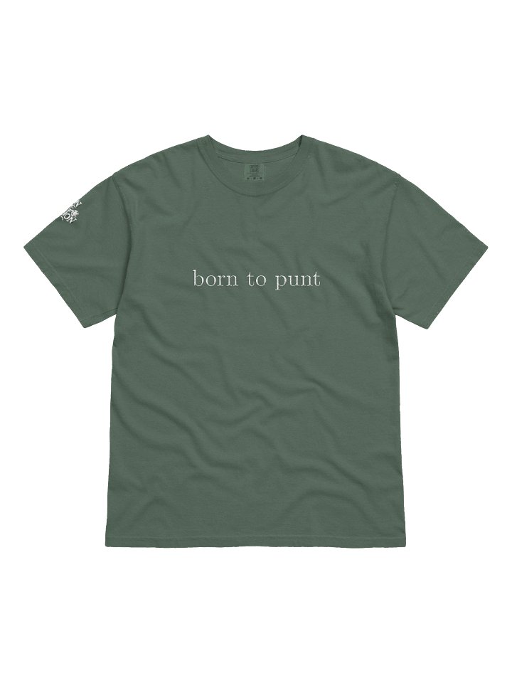 'Born to Punt' Embroidered Tee product image (1)