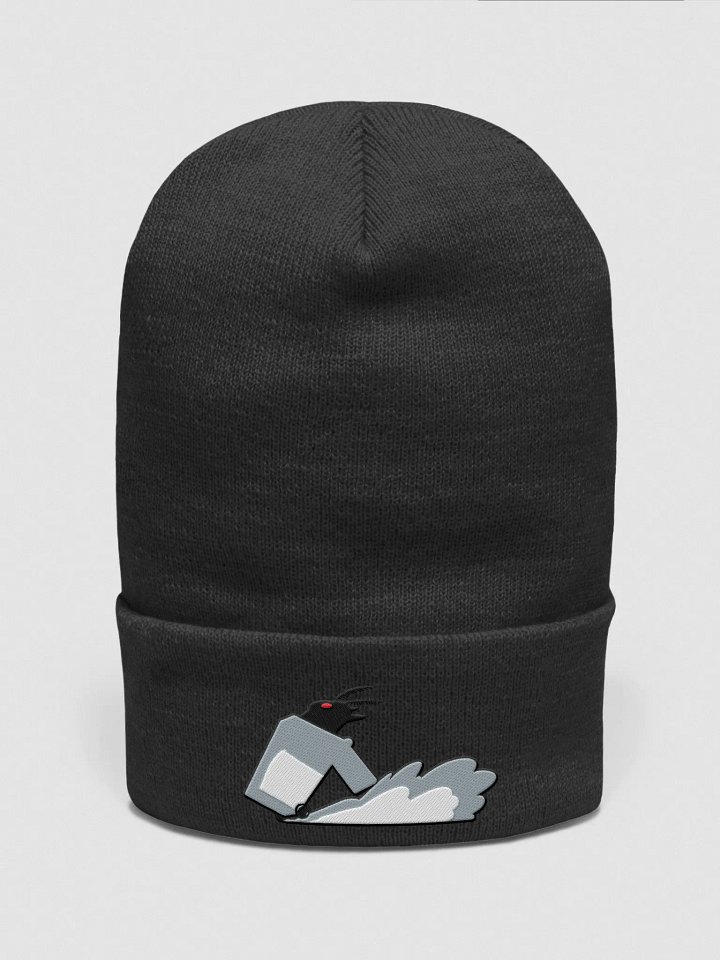 bin nation beanie product image (1)