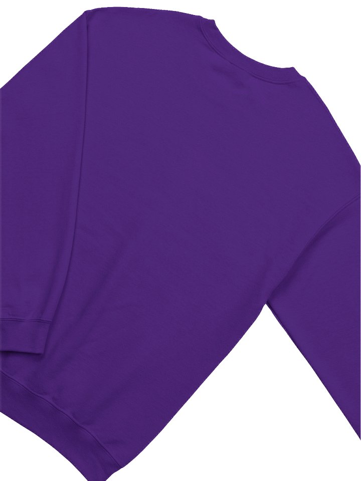 THE MORE YOU ERASE Skull Graphic Sweatshirt Water product image (2)