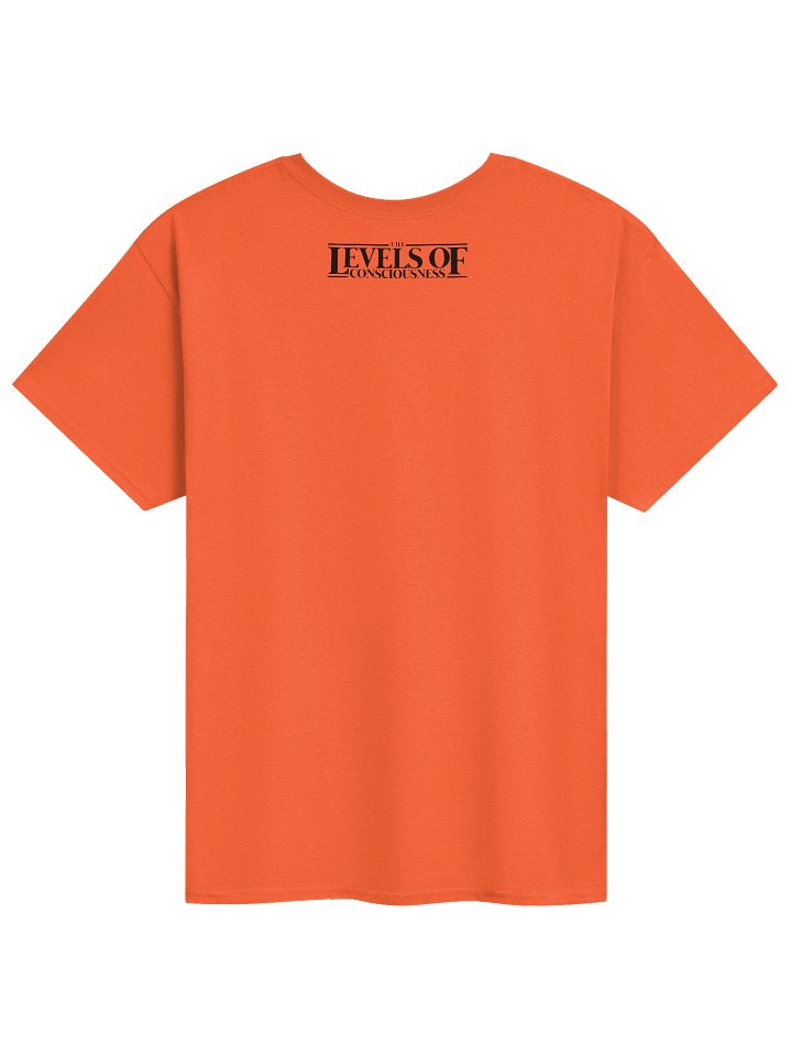 The Levels Of Consciousness Podcast Tee product image (15)