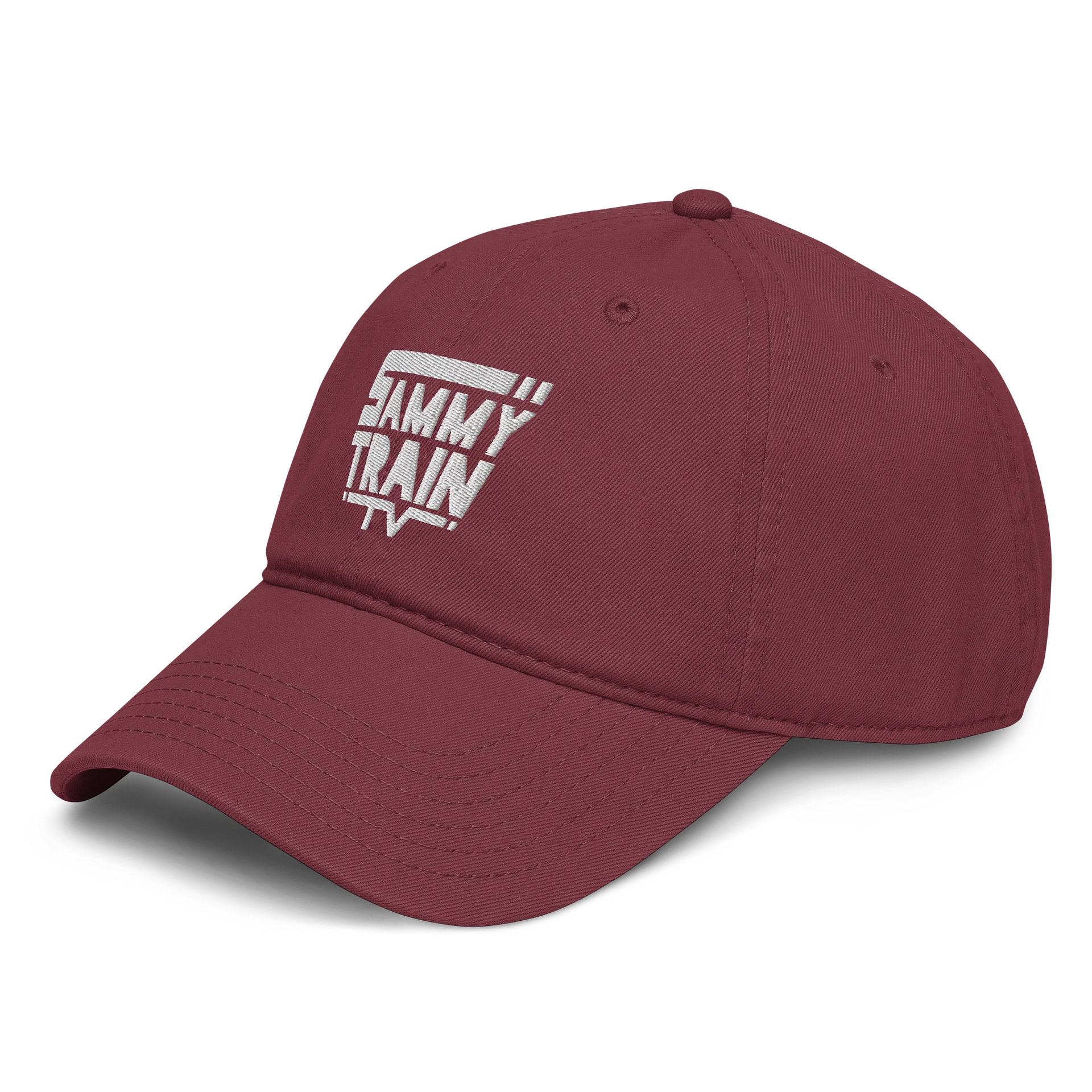Logo Hat (Embroidered) product image (23)