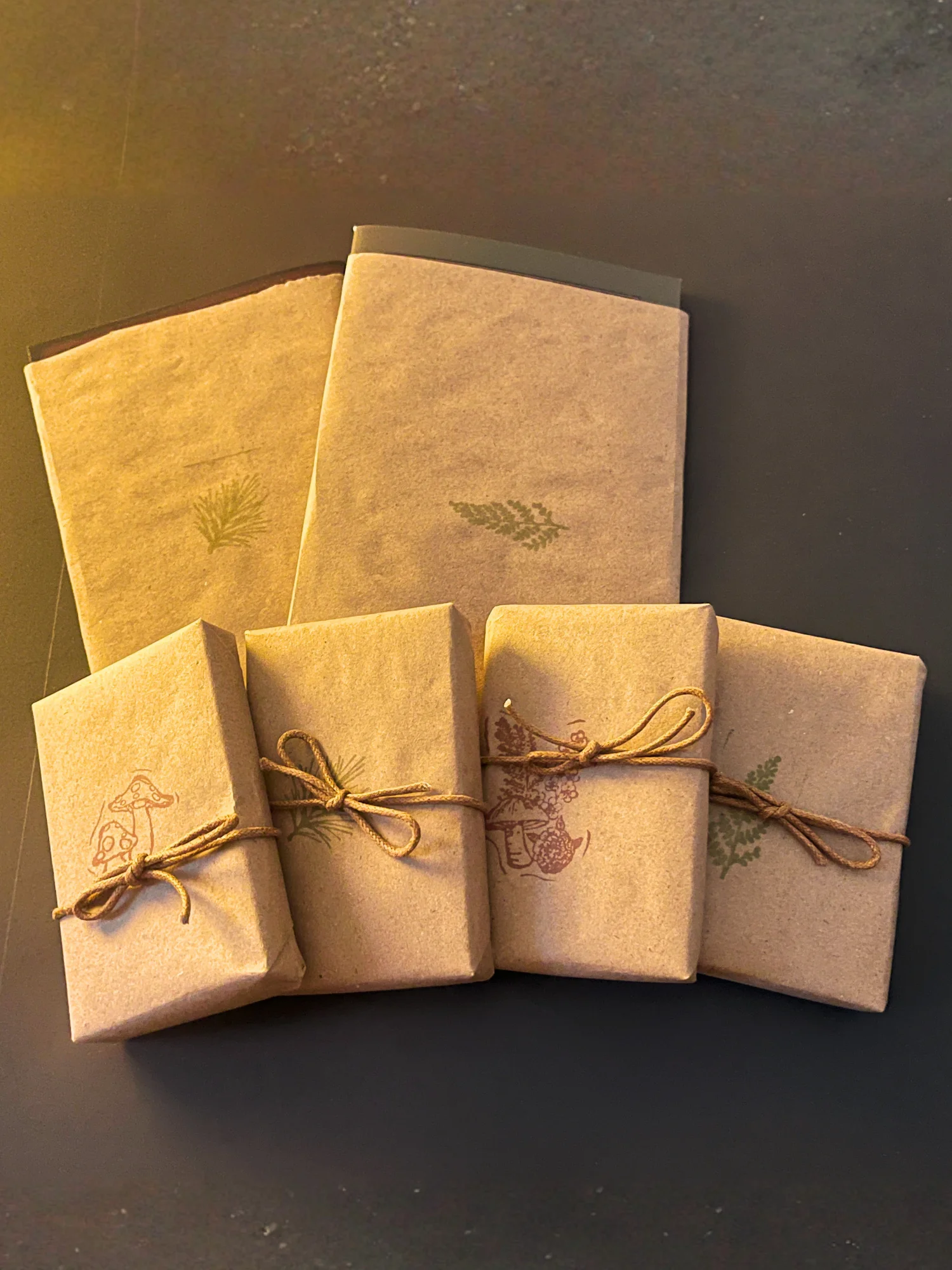 The Collector's Edition product image (2)