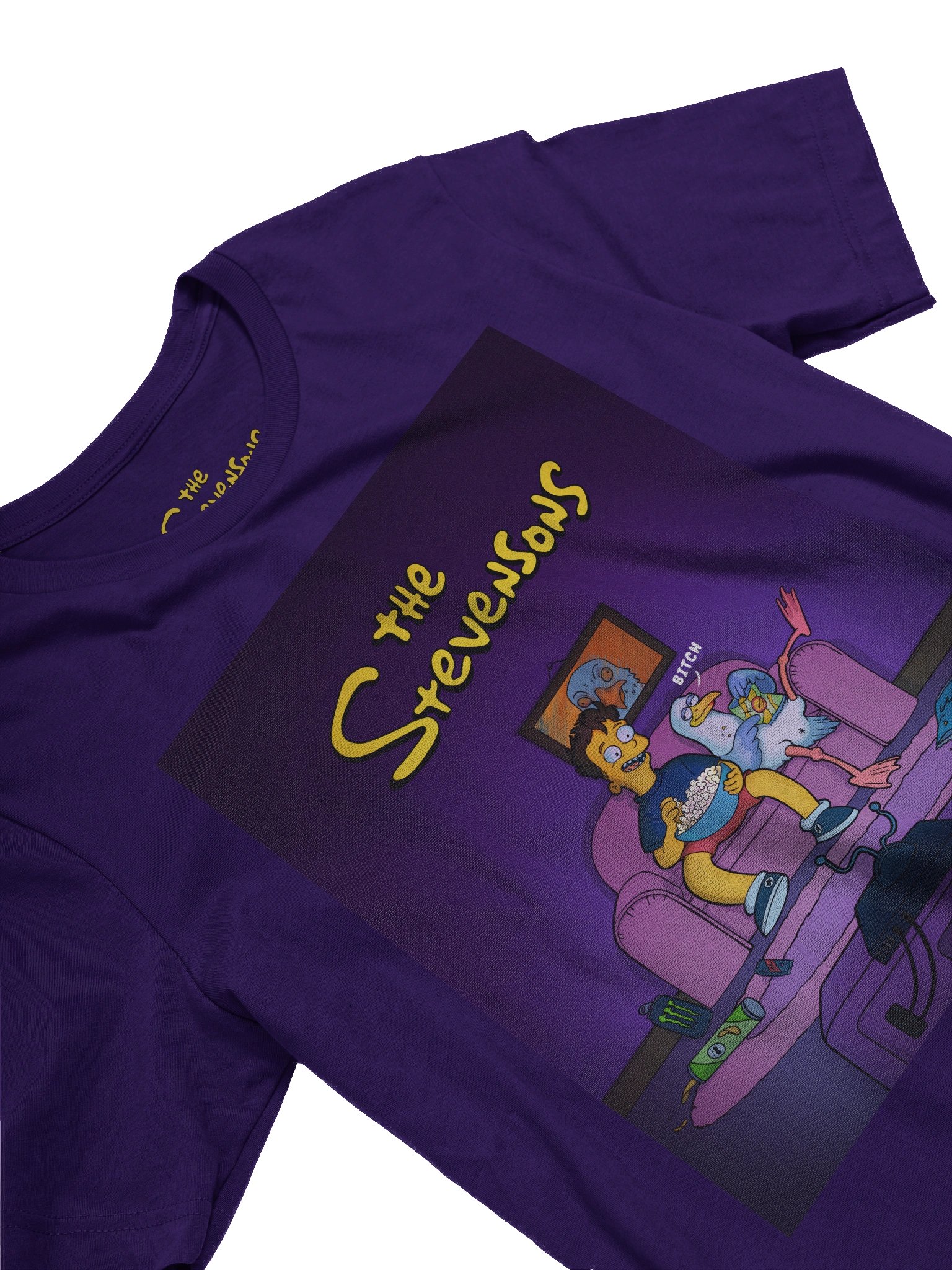 The Stevensons! product image (2)