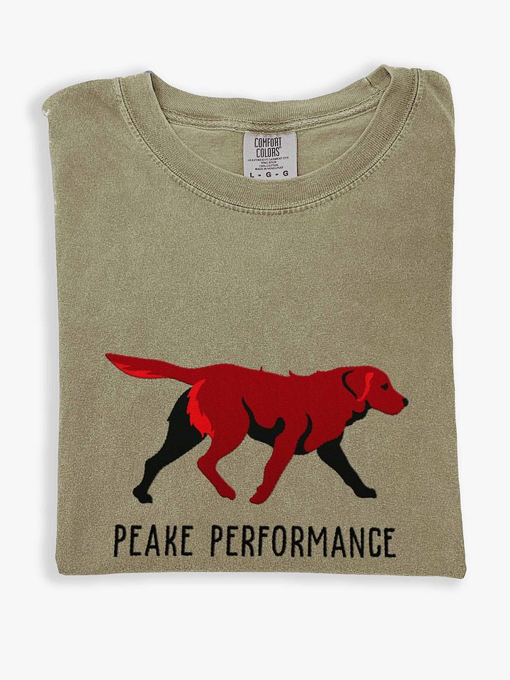 Peake Performance T-Shirt(Embroidered) of a Chesapeake Bay Retriever(Brown) product image (1)