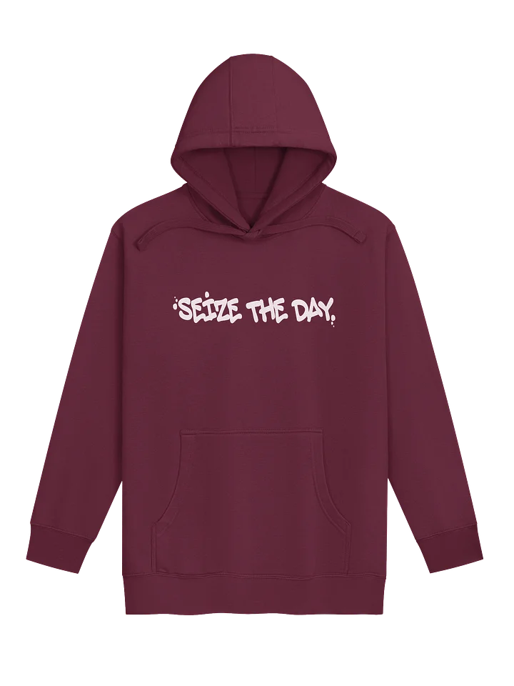 Seize The Day Premium Hoodie product image (1)