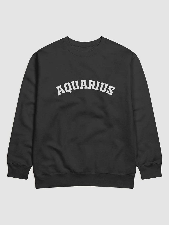 Aquarius Sweatshirt product image (1)