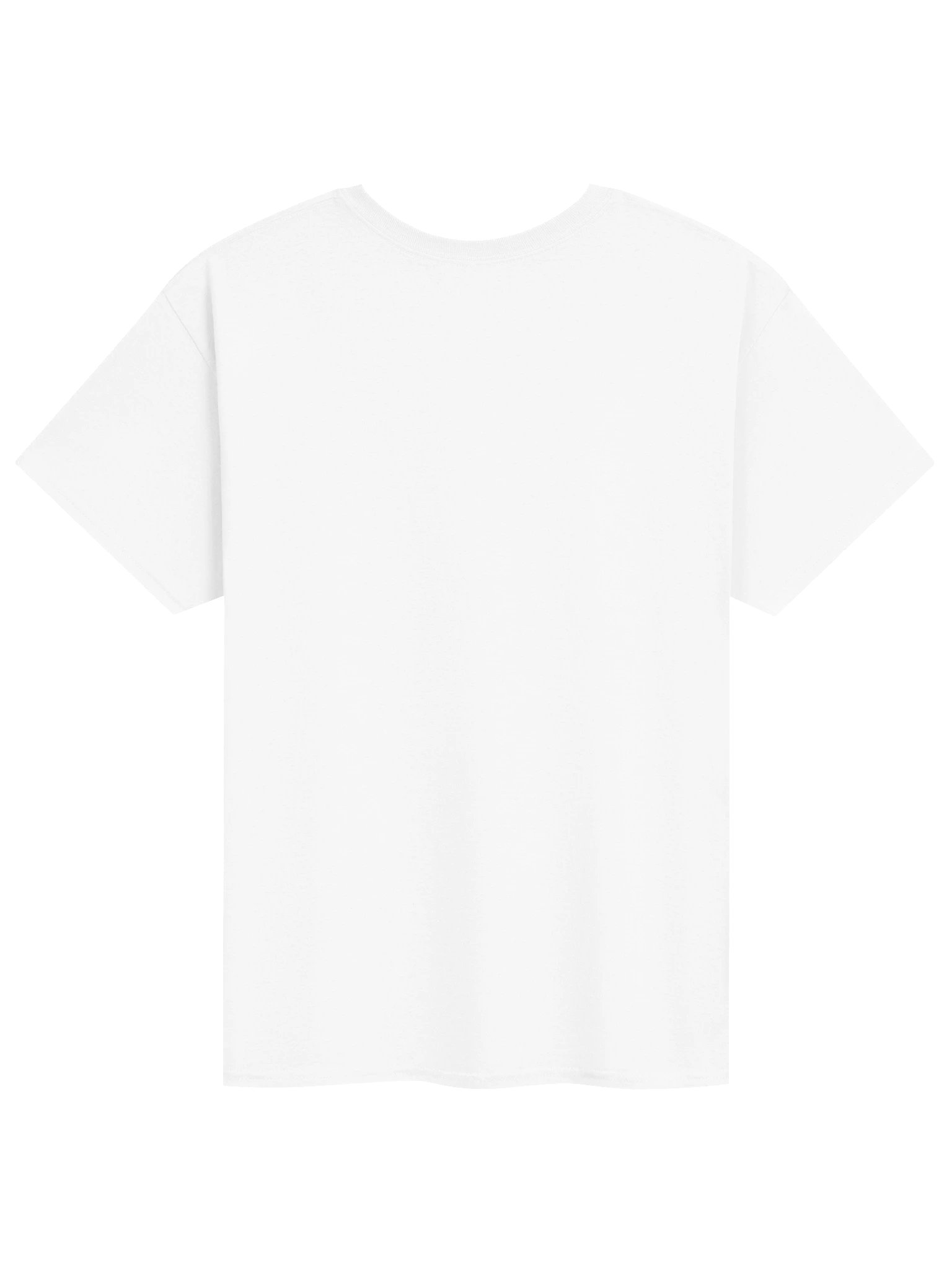 FURBITO MONEYLUCK Camiseta Heavyweight Classic product image (6)