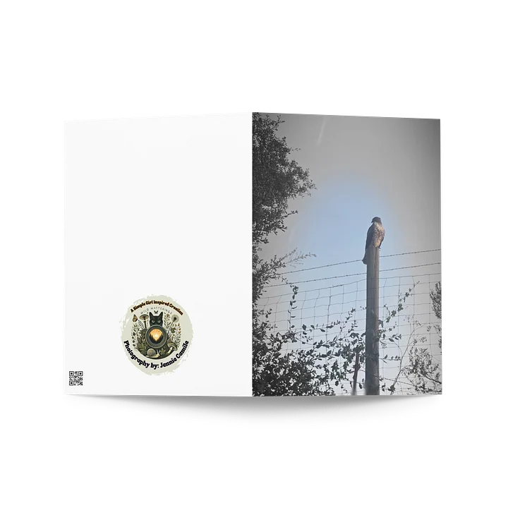Hawk Resting Greeting Card product image (2)