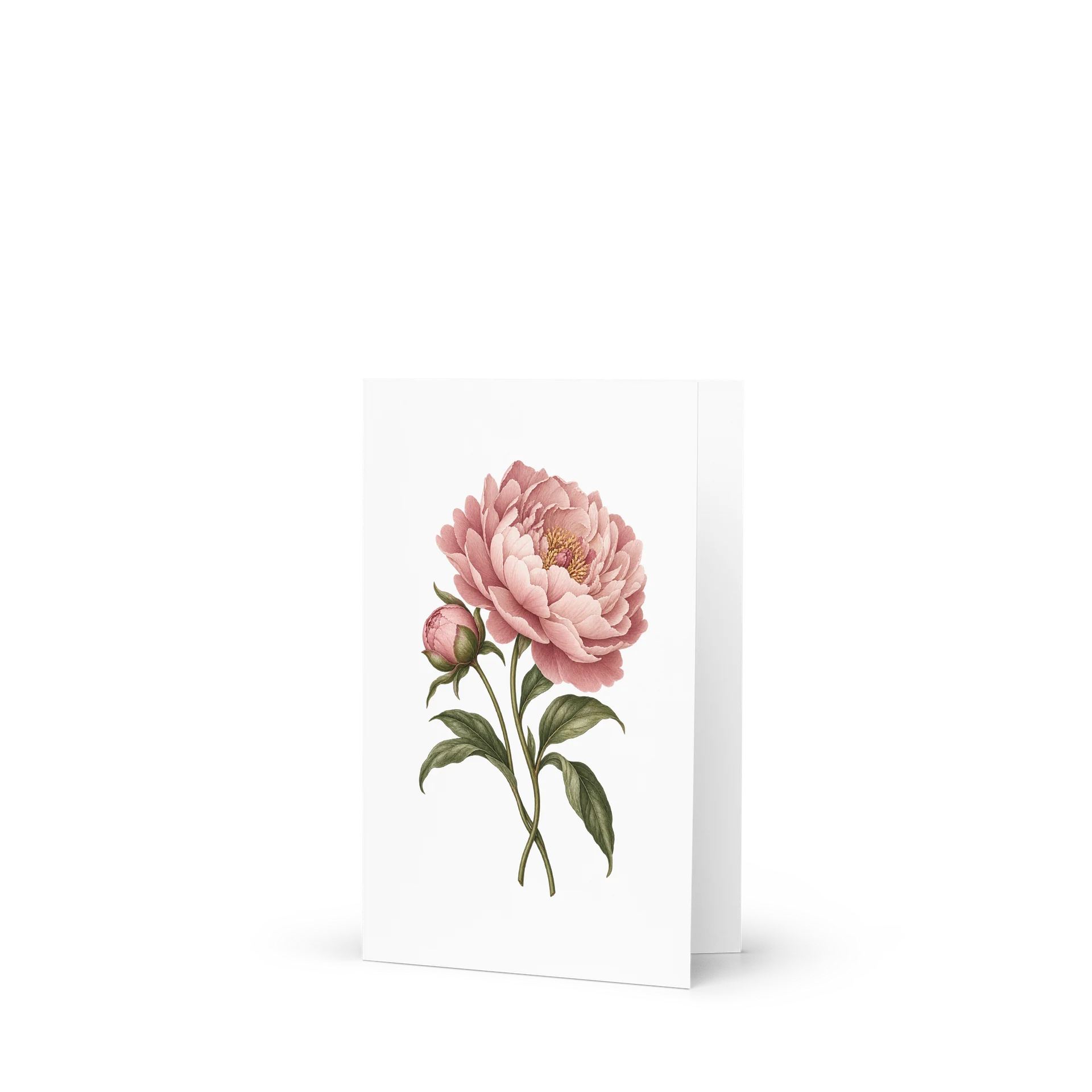Blush Peony | Blank Botanical Greeting Card product image (1)
