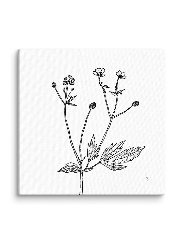Botanical Bliss Canvas - Wild Flowers product image (2)