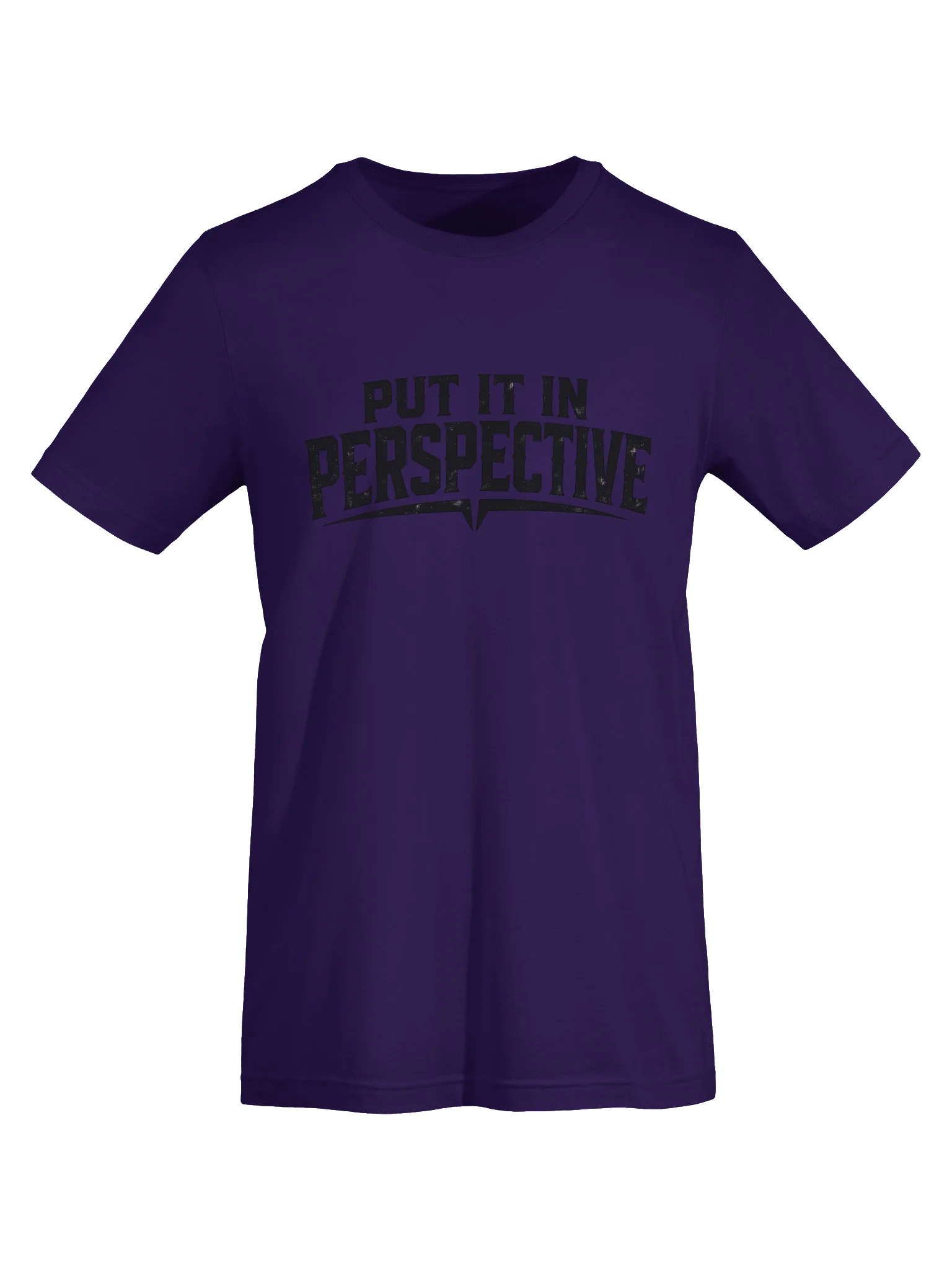 Put It In Perspective T Shirt product image (5)