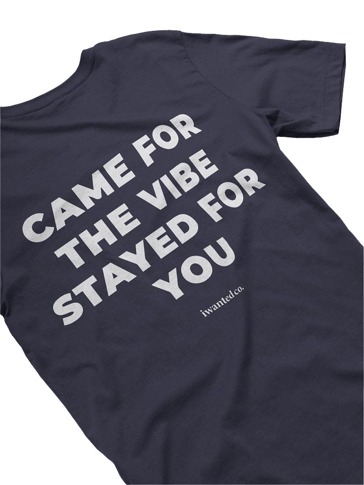 Came For The Vibe Stayed For You T-Shirt product image (2)