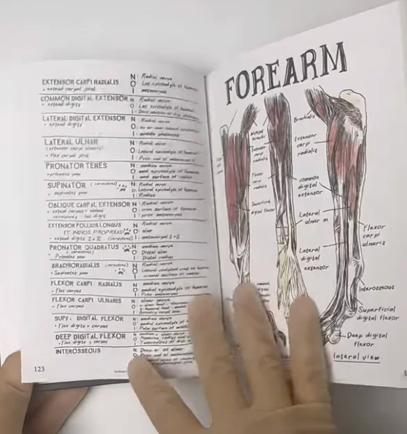 Vet Notes: Comparative Anatomy product image (5)