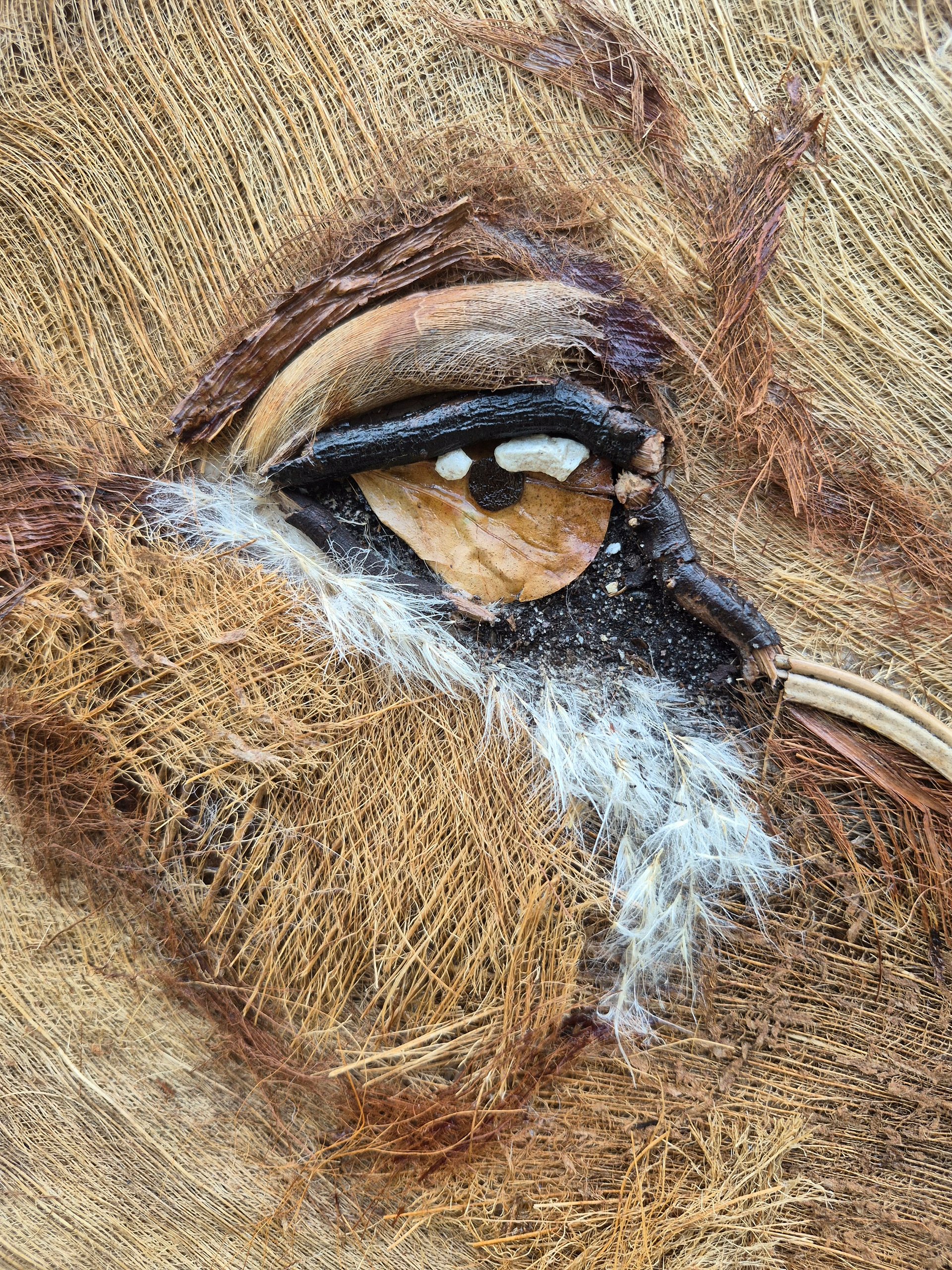 DESERT KING | Original Nature Artwork product image (4)