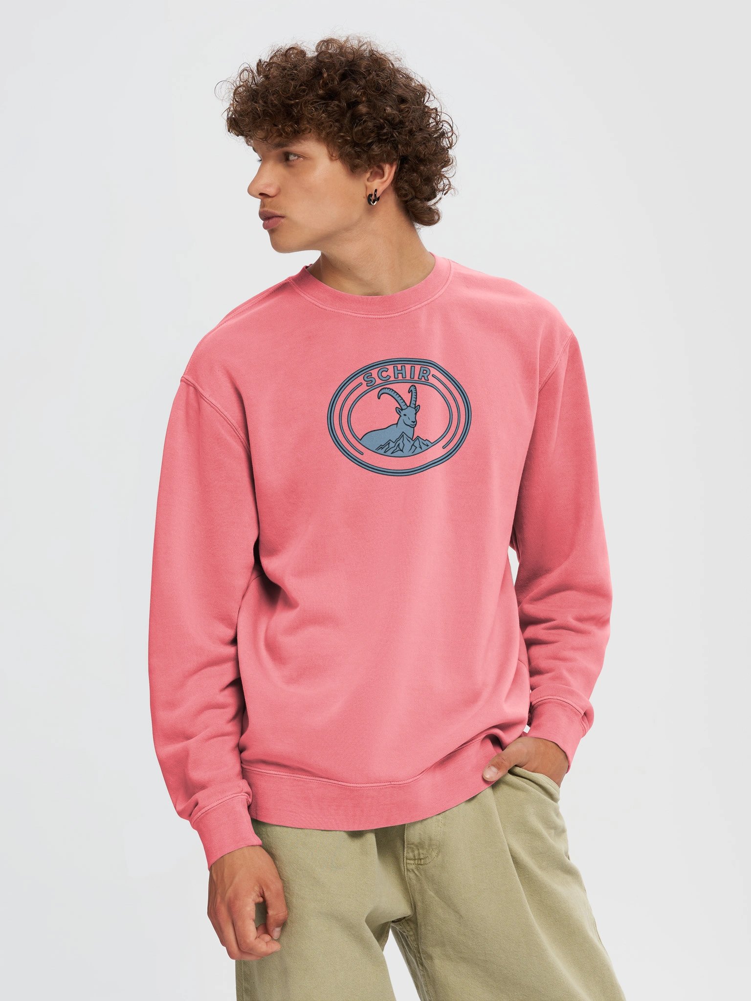 VIBES FRONT CREWNECK product image (57)