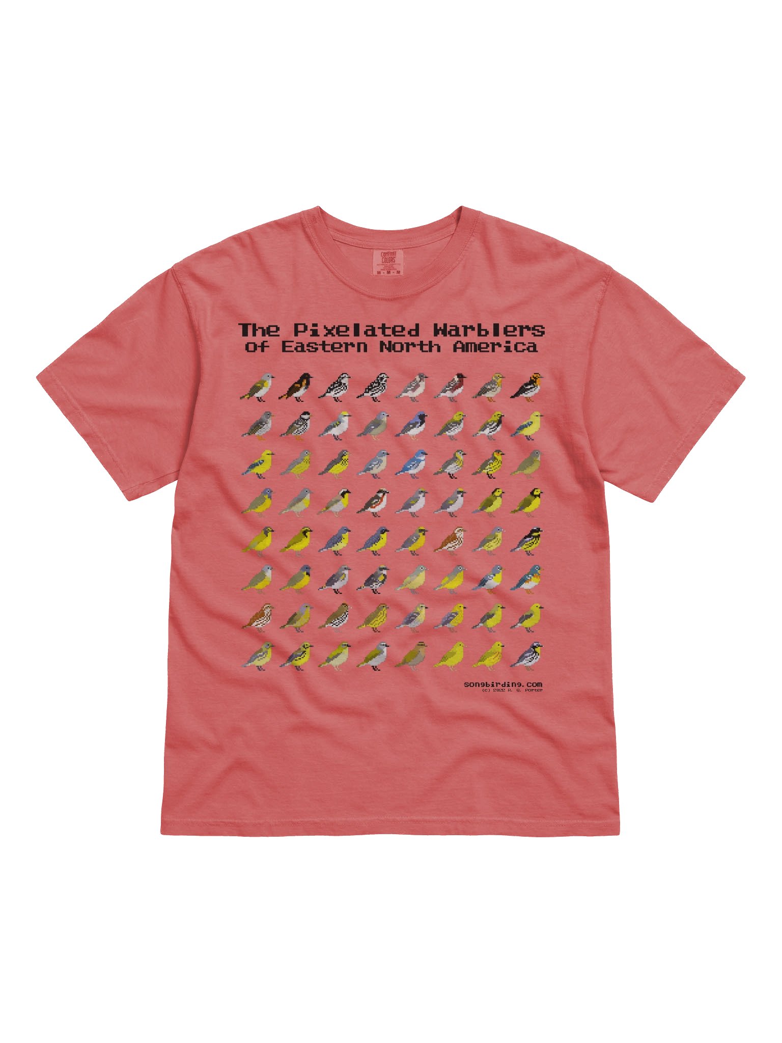 The Pixelated Warblers of Eastern North America Heavyweight Tee (black text) product image (1)