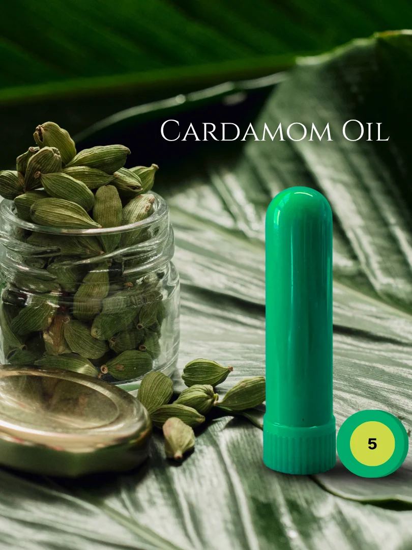 Olfaria Spice Odor Training Kit | 5 Single-Note Essential Oils | Scent Education | Train Your Nose product image (6)