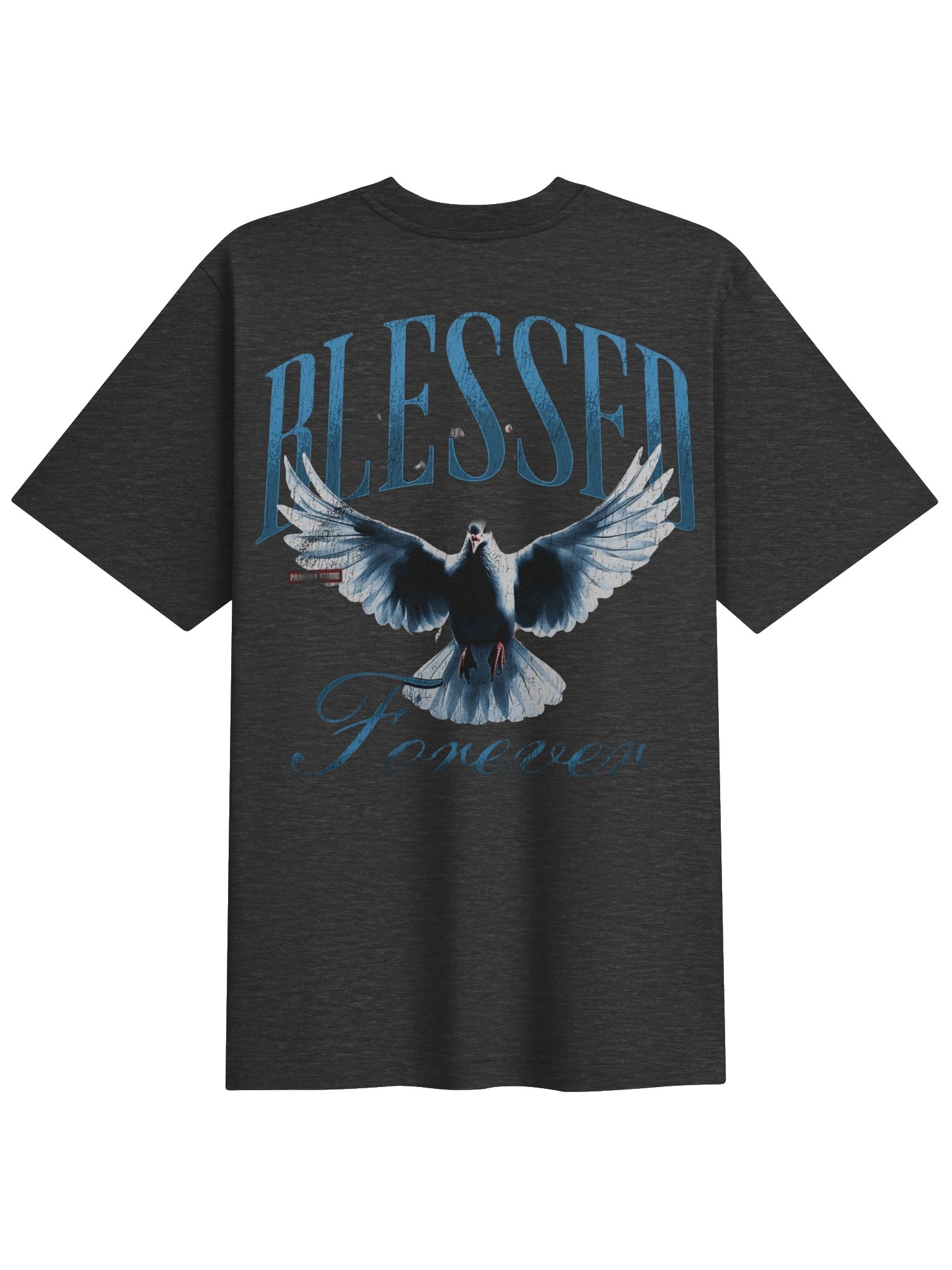 "FEAR NO EVIL" Blessed Forever Tee product image (2)
