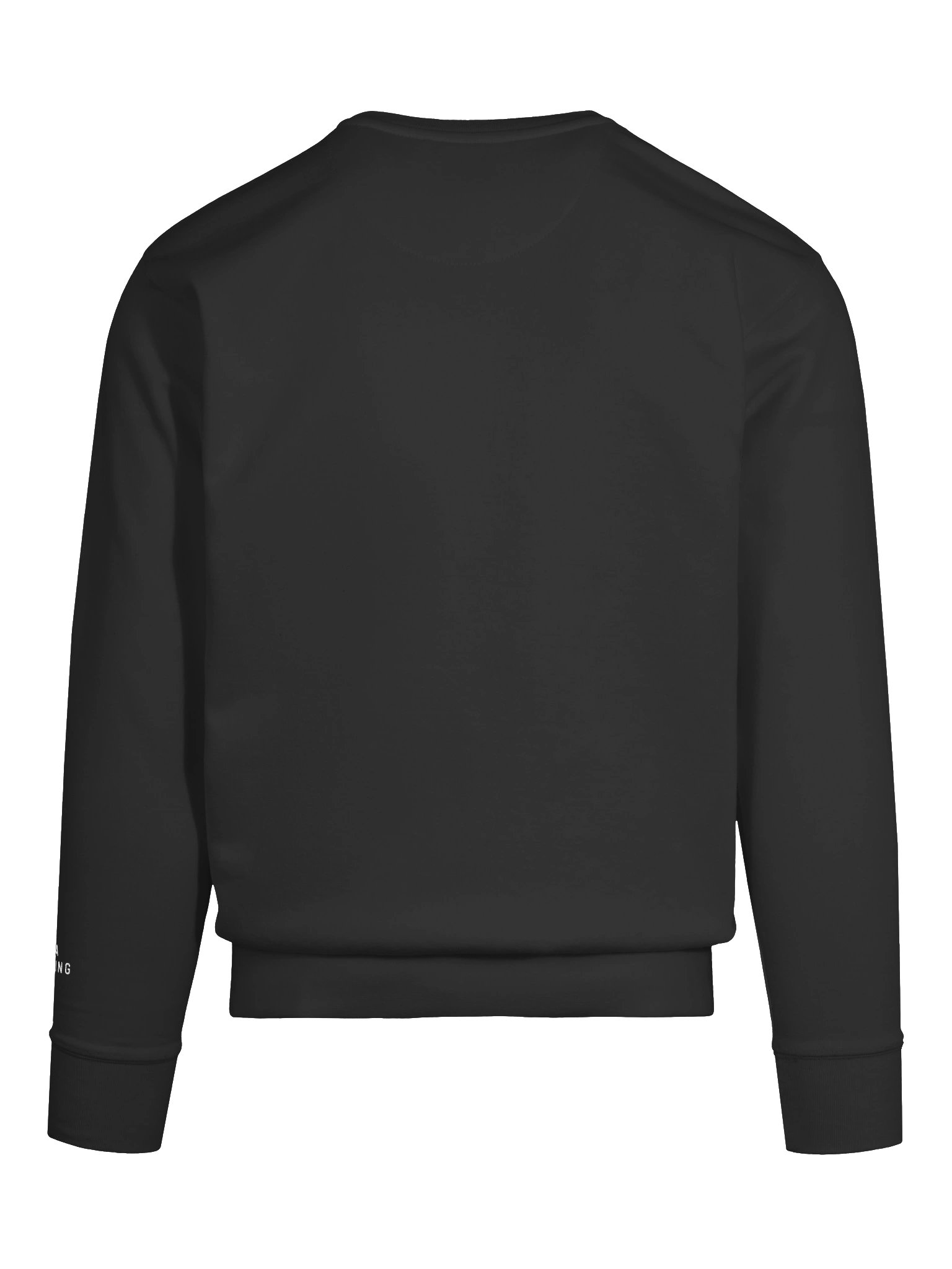 DNA Pending Crew Neck product image (31)