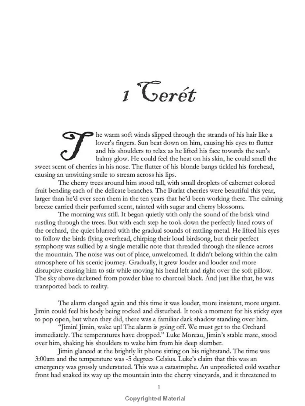 Cherry Fog& Burning Embers | Physical Book product image (3)