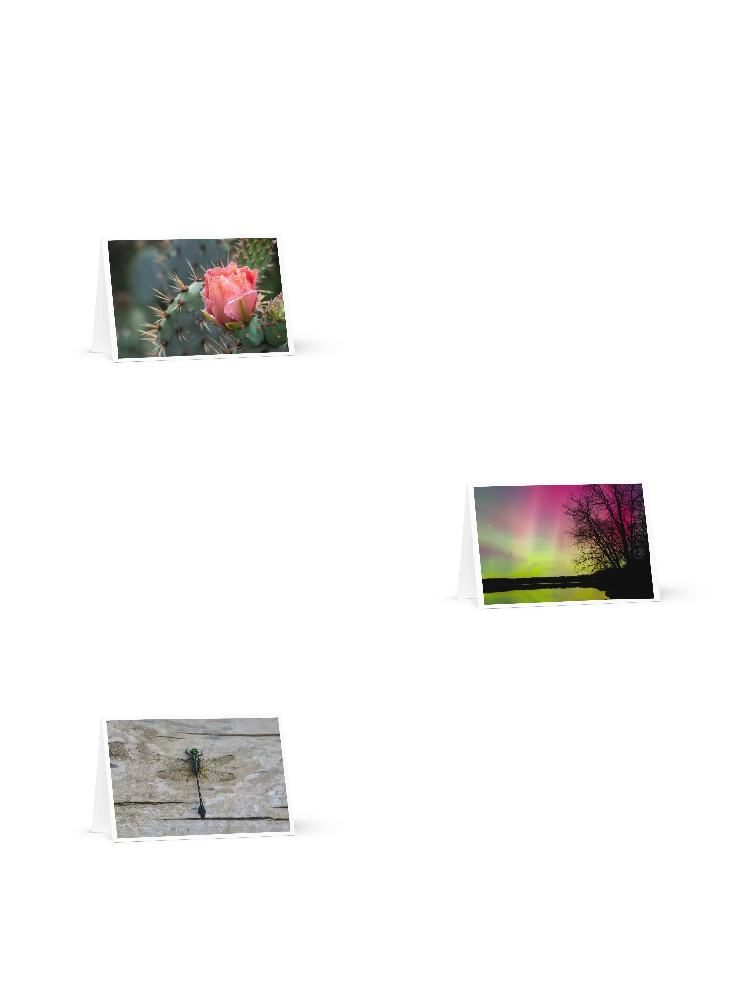Nature Blank Greeting Cards 3 Pack product image (1)