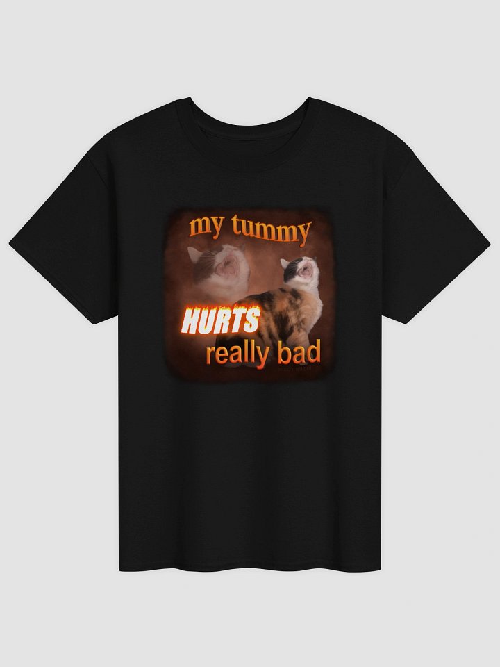 My Tummy Hurts Really Bad - Cat T-shirt product image (1)