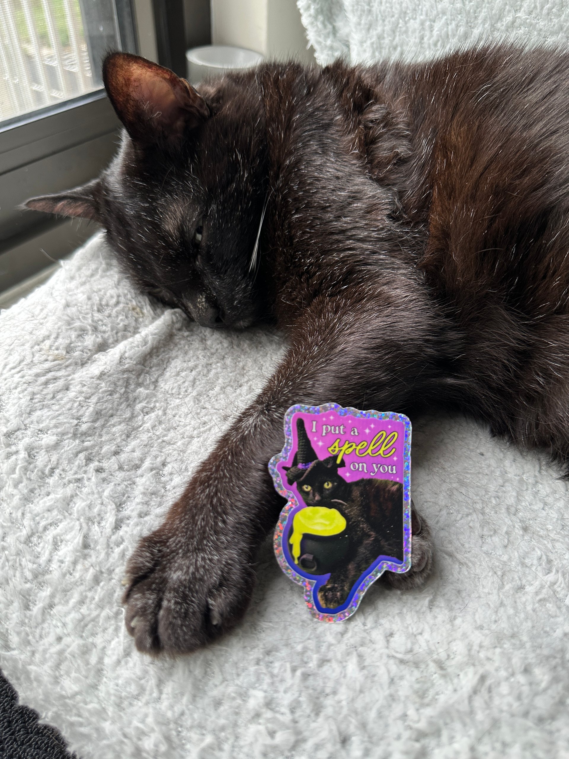 I Put a Spell on You glittery sticker product image (2)