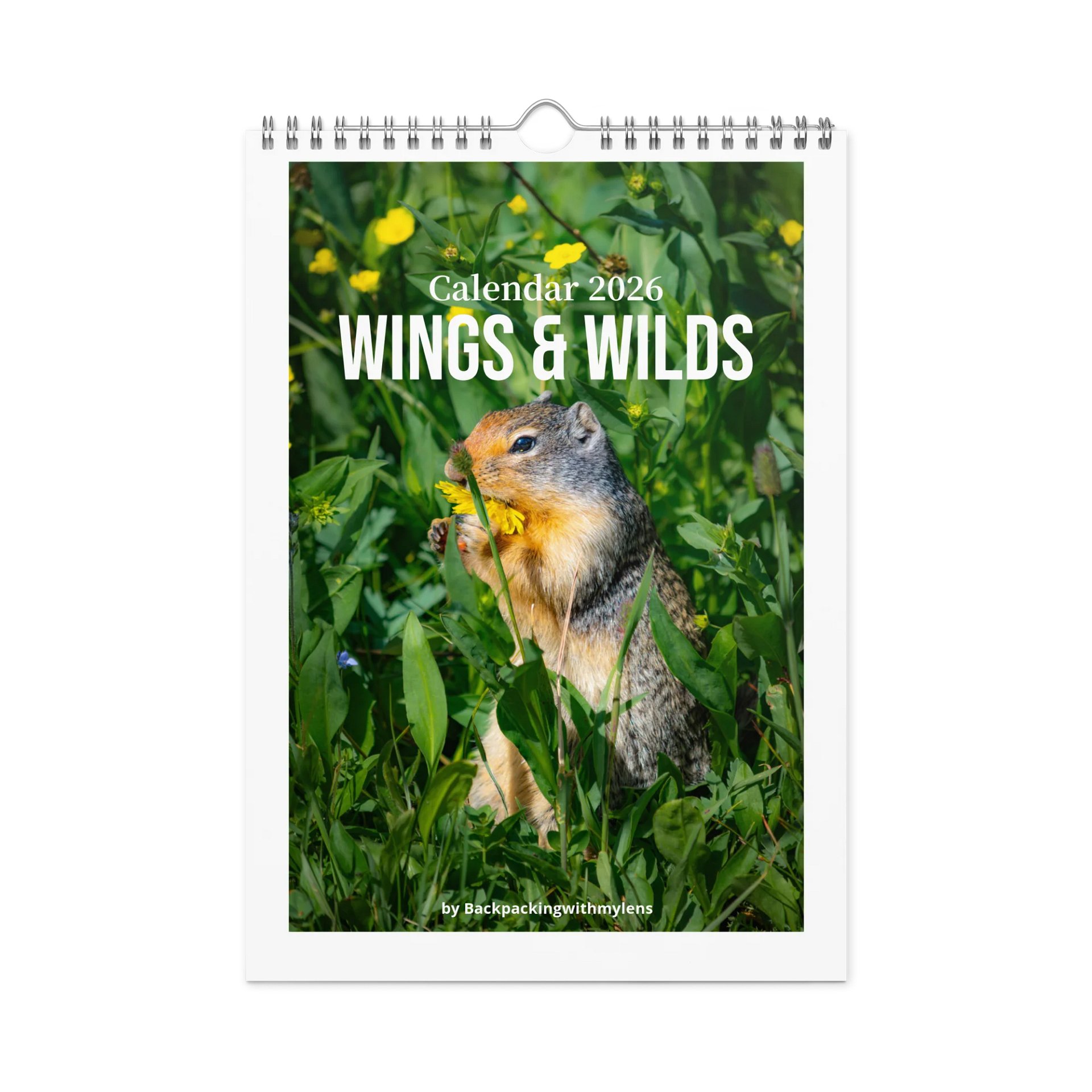 Wings & Wilds Wall Calendar 2026 by BWML product image (1)