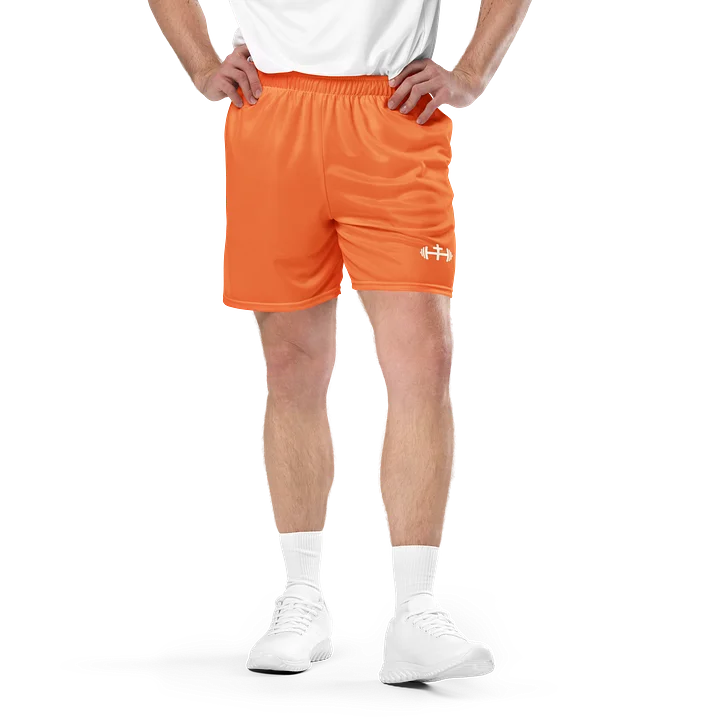 His House Mens Performance Mesh Shorts - Orange product image (1)