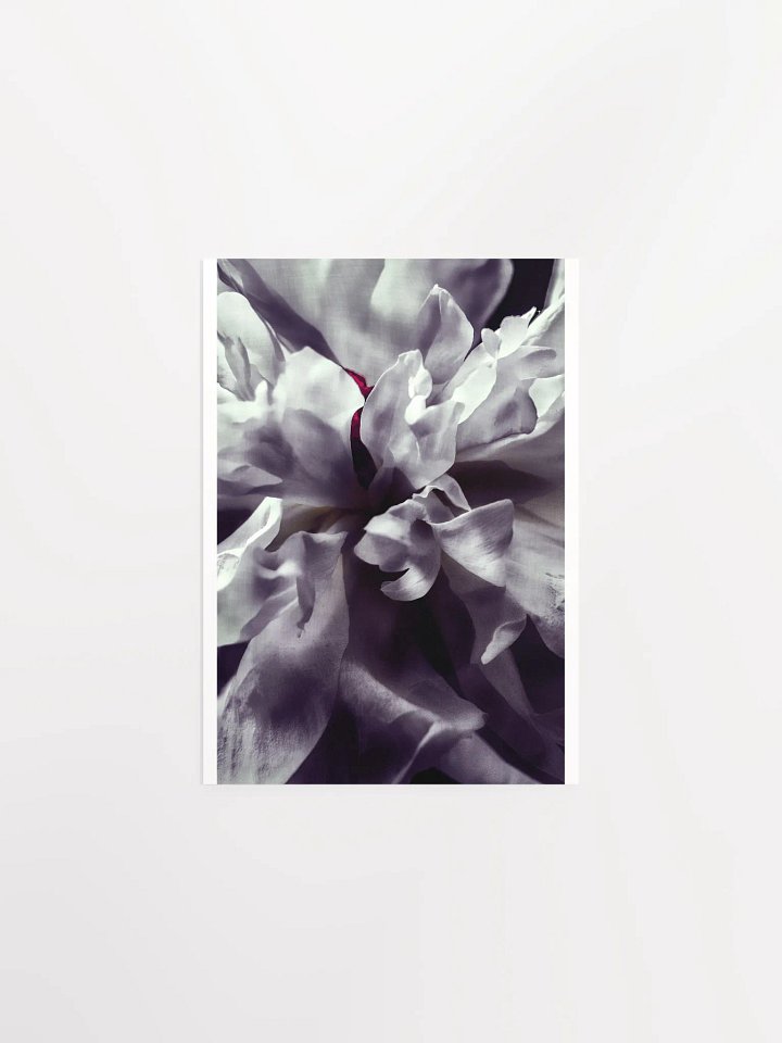 Peony Heart - Print product image (2)