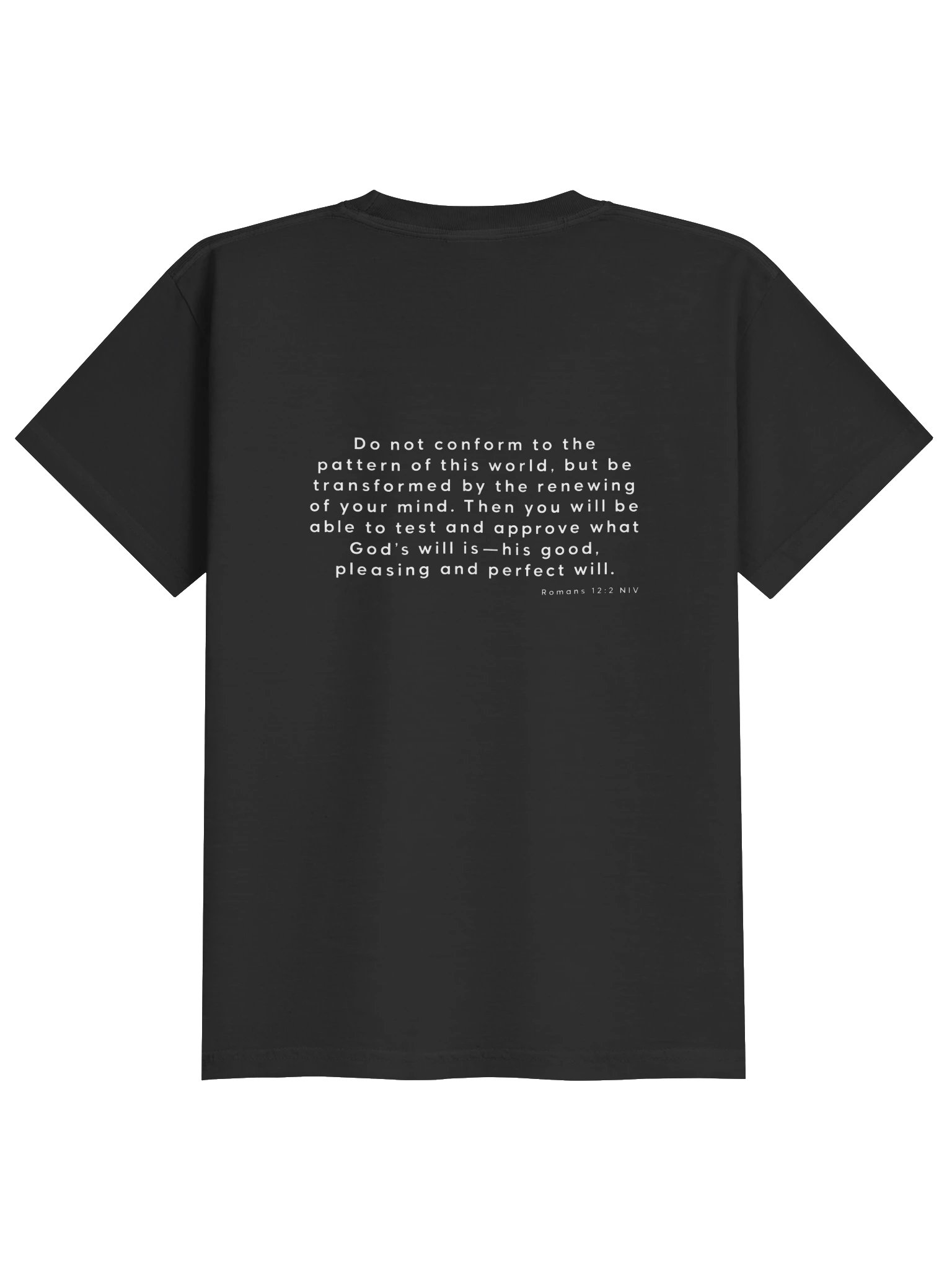 Biblical Truths: Black Rebel Youth product image (2)
