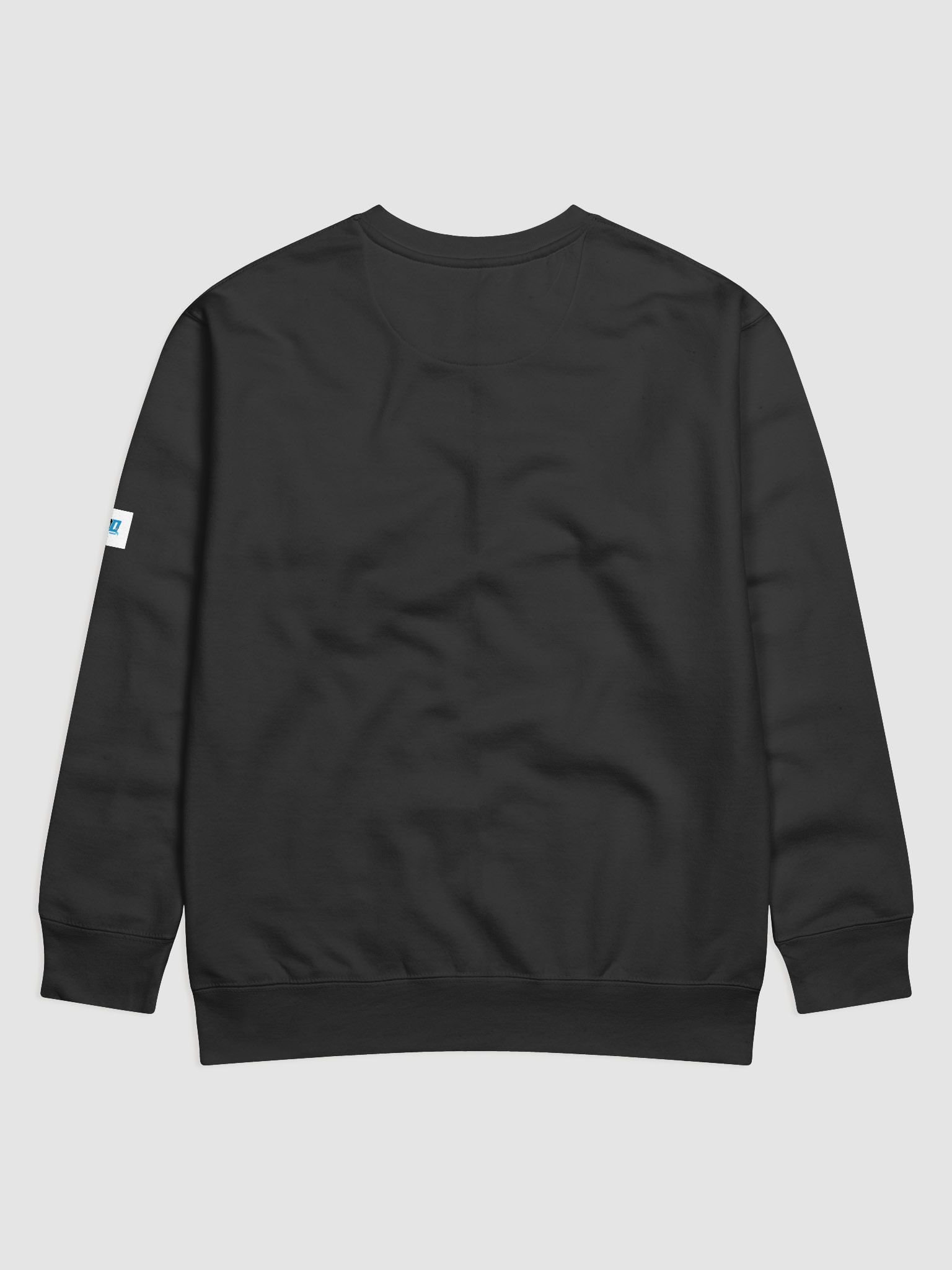 Feathered AD Logo Cotton Sweatshirt product image (2)