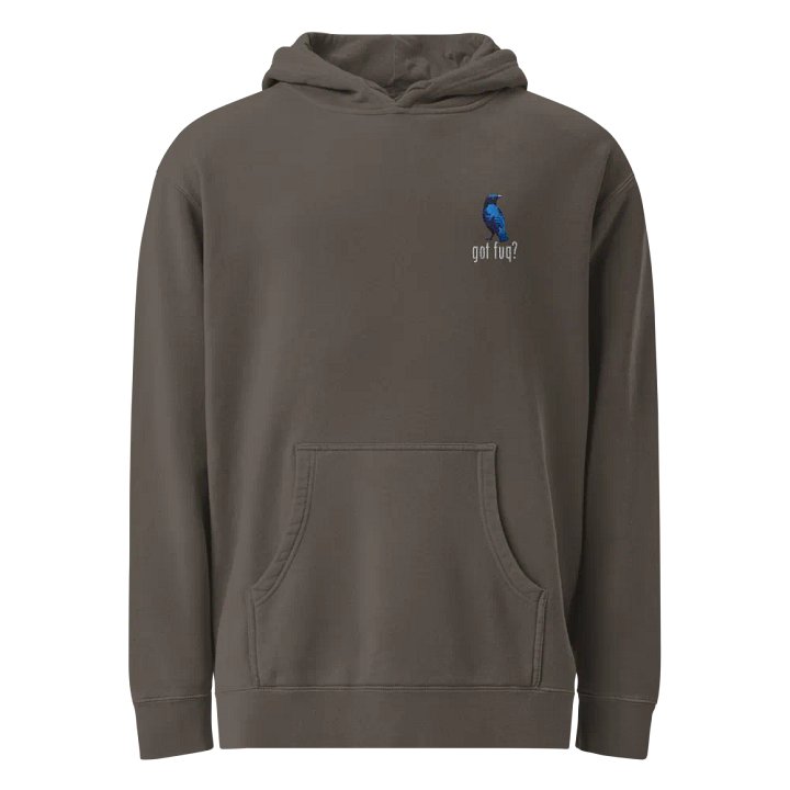 Ron Collection - Embroidered Hoodie product image (1)