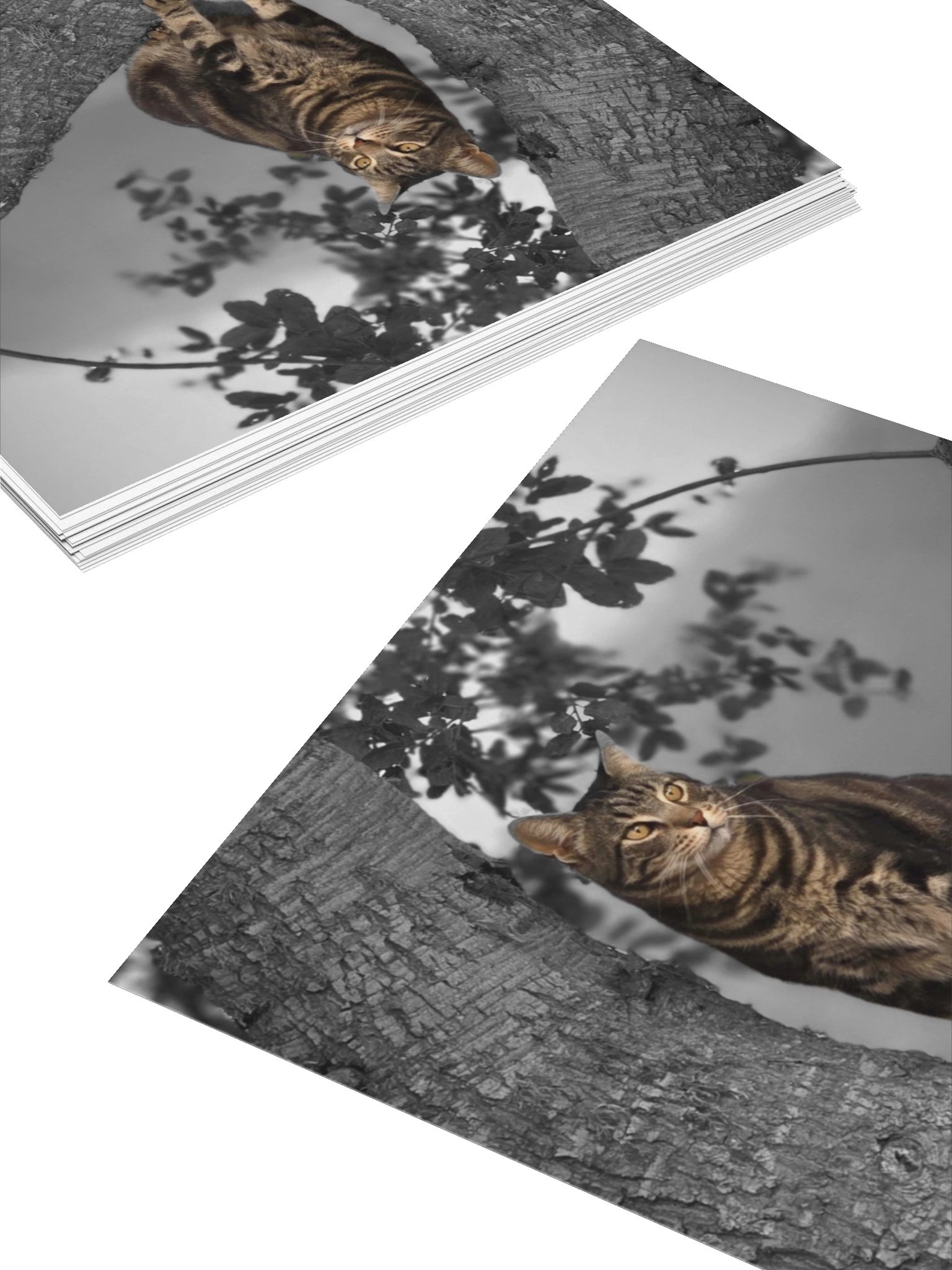 Whiskered Wanderlust Sticker product image (4)