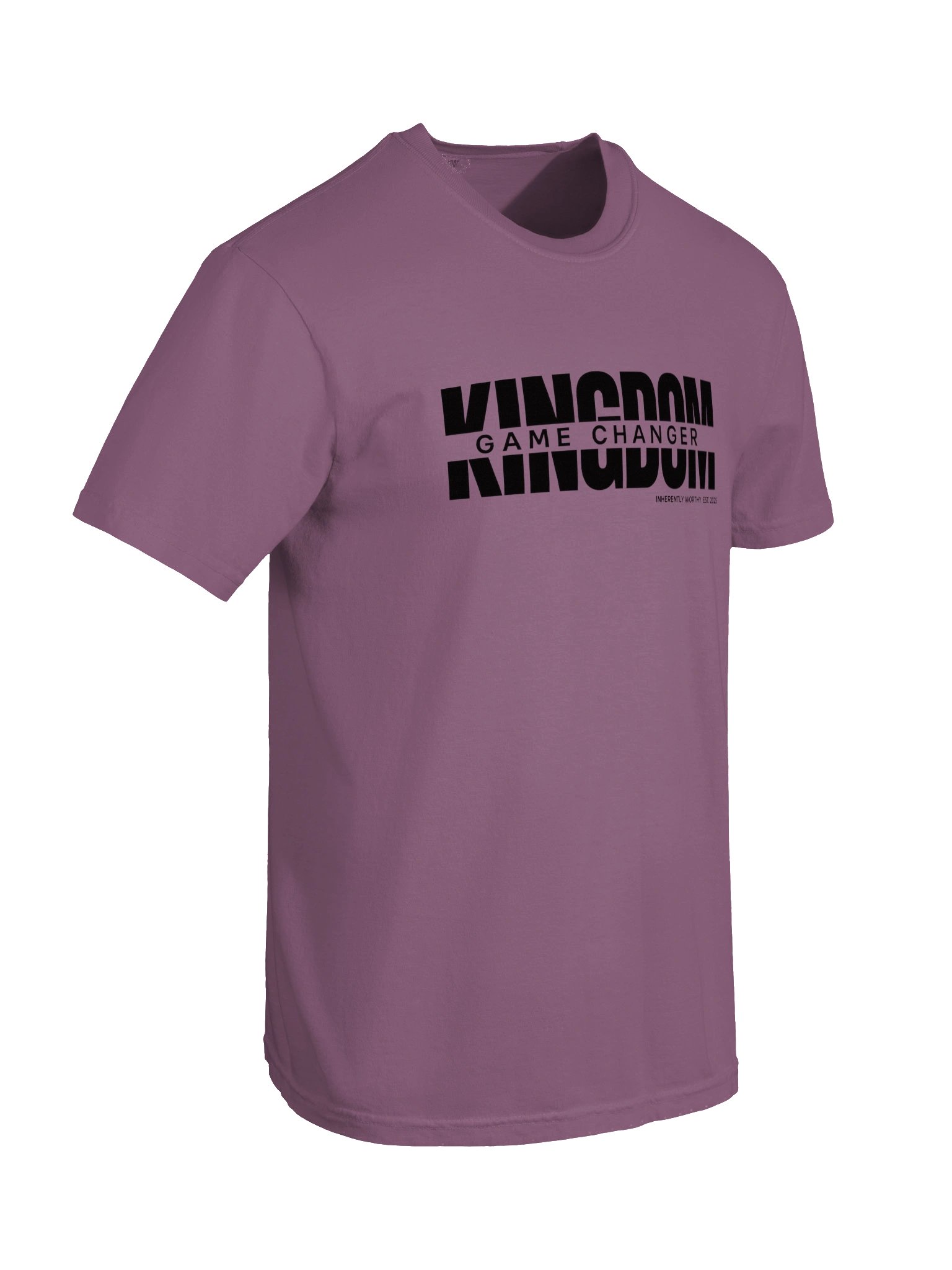 KINGDOM GAME CHANGER™ Signature Tee product image (82)
