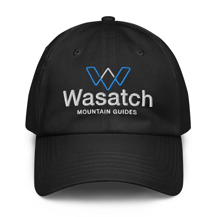 WMG Hat product image (1)