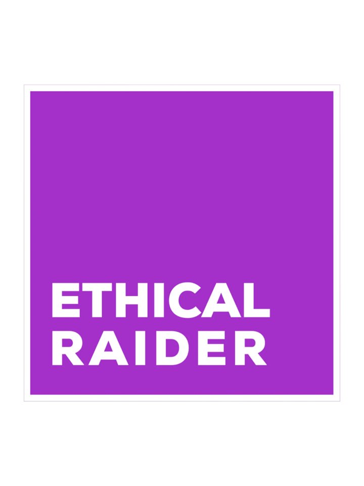Ethical Raider (DH Purple) Sticker product image (2)