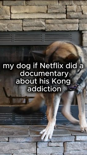 Arlo is not ready to come clean about his addiction 

#netflixdocumentary #dogsoftiktok #funnydogvideos #k9arlo