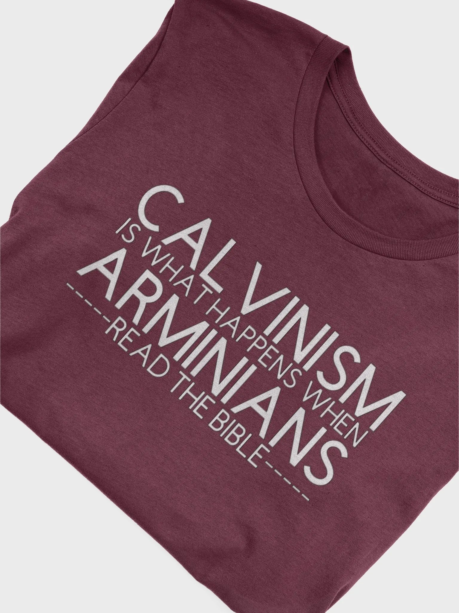 Calvinism T-shirt product image (5)