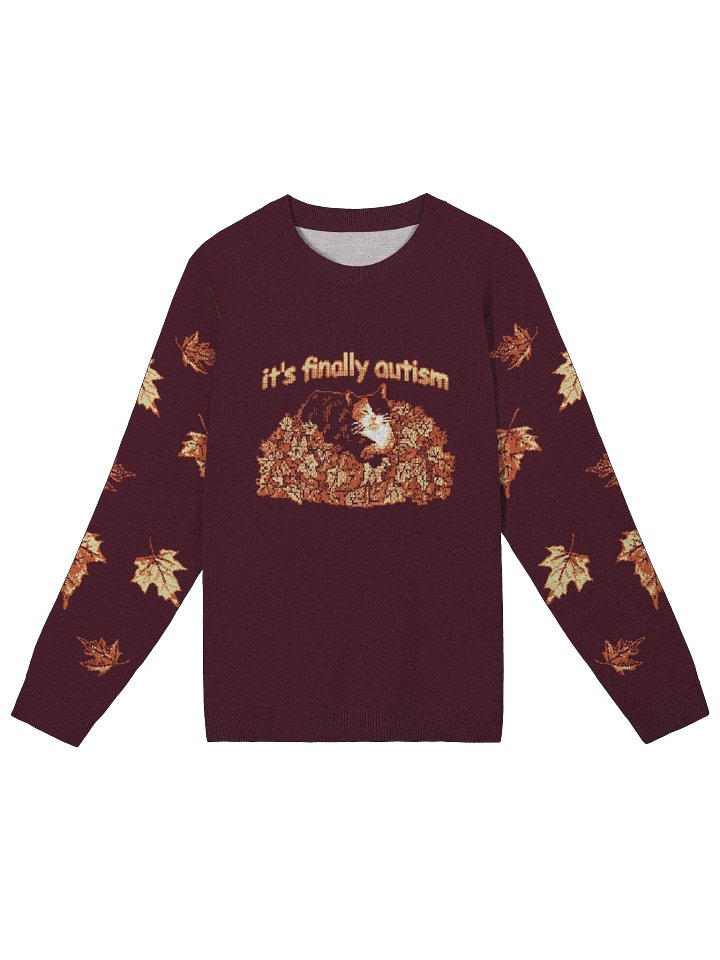 It's Finally Autism - Autumn Cat Sweater product image (1)