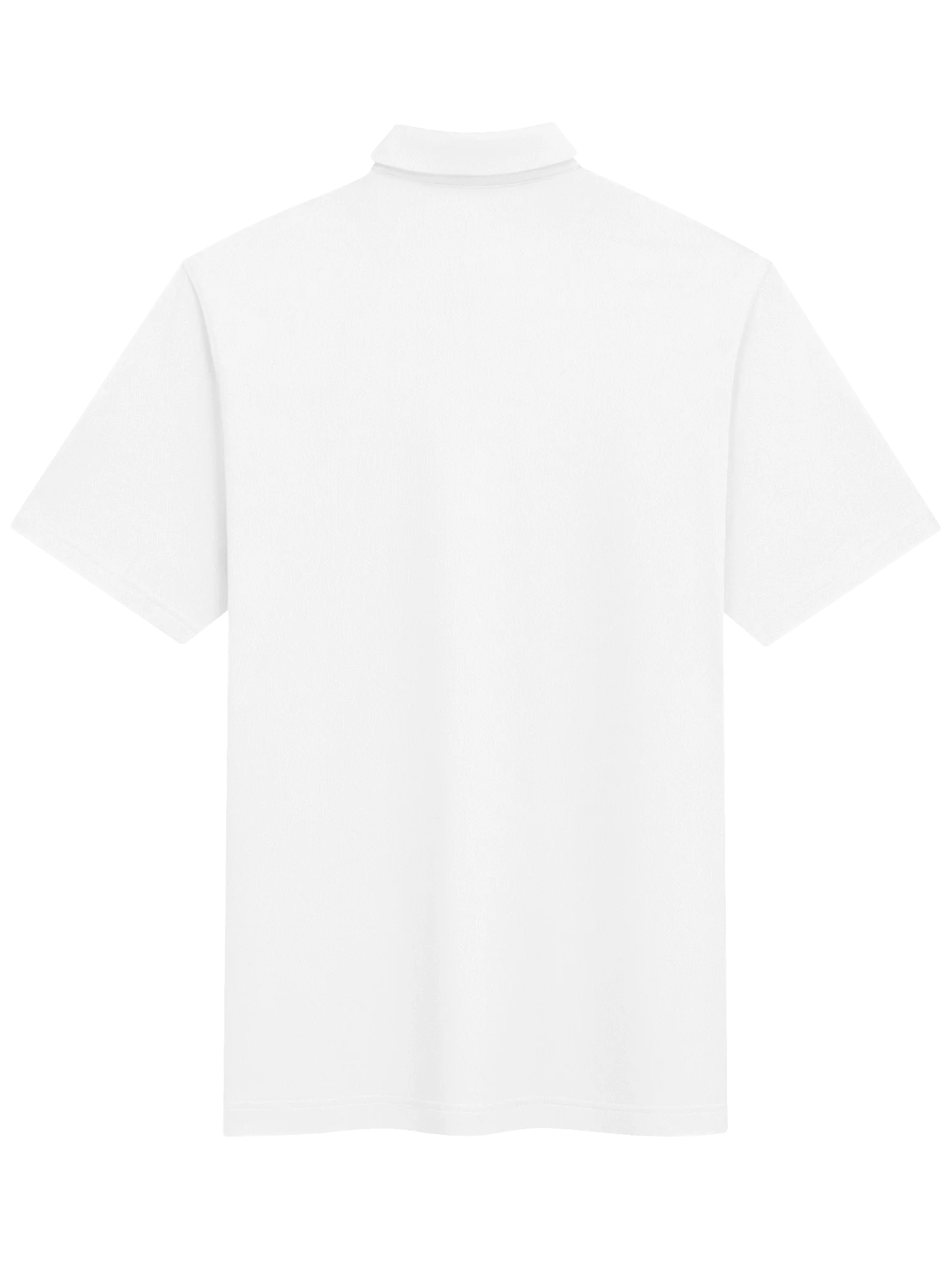 The Forge Polo view 2