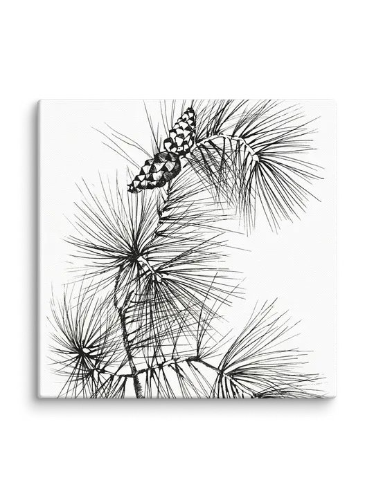 Blank Canvas: Unleash Your Artistic Vision - Pine Branch and Cones product image (100)