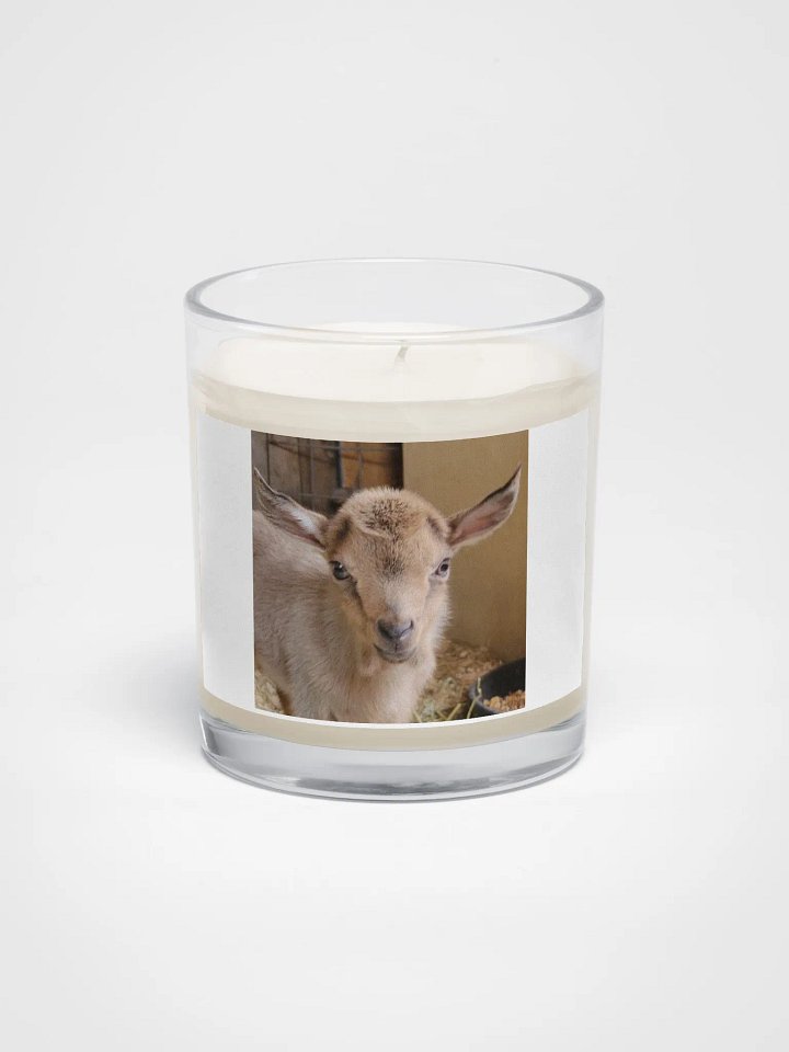 Baby Kiwi goat candle product image (1)