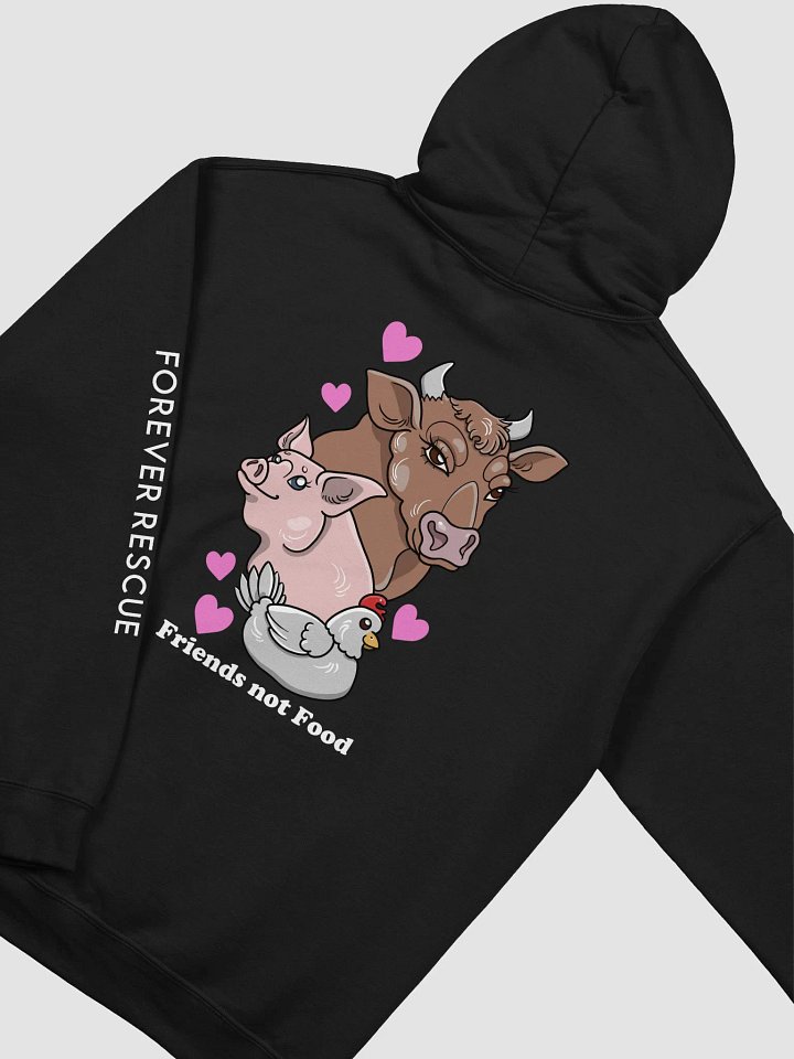 BFFR Friends Not Food Hoodie product image (1)