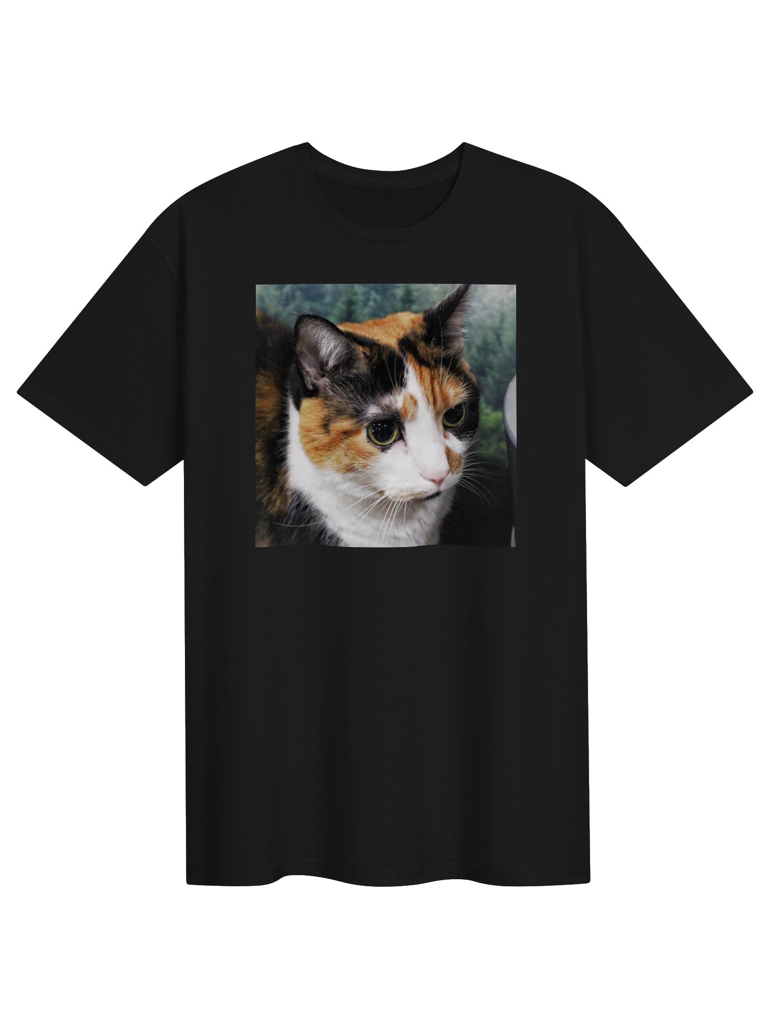 Captain Noodle Shirt product image (1)